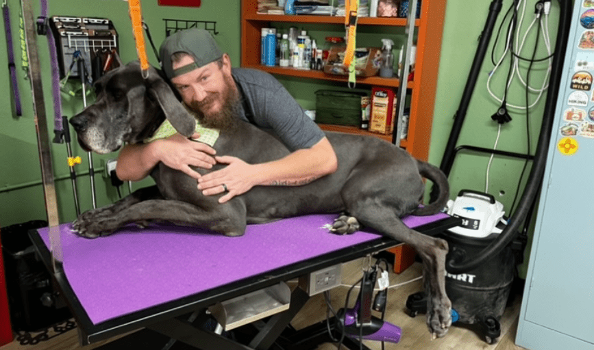 DOG GROOMING